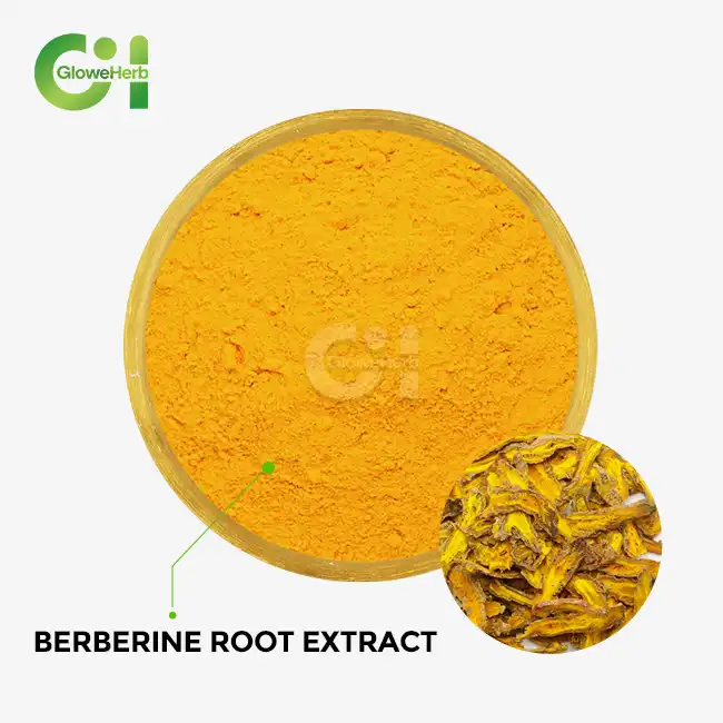 berberine root extract